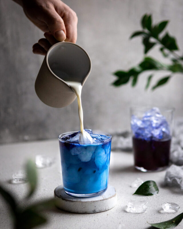 blå sommerfugl ært latte