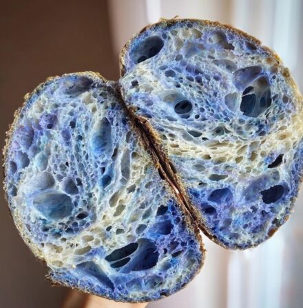 Schmetterlingserbsen-Pulver (Butterfly Pea)