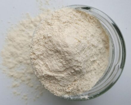 Gefriergetrocknetes Jackfruchtpulver | Centralsun close up