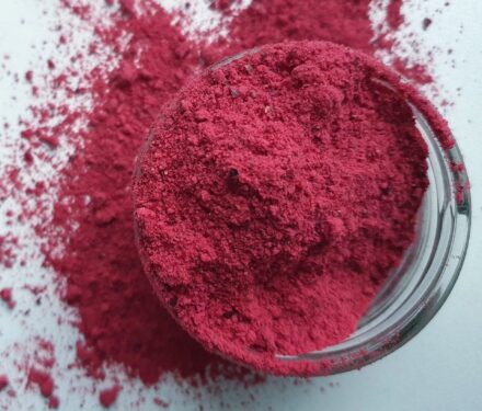Bio Gefriergetrocknetes Cranberry-Pulver close up