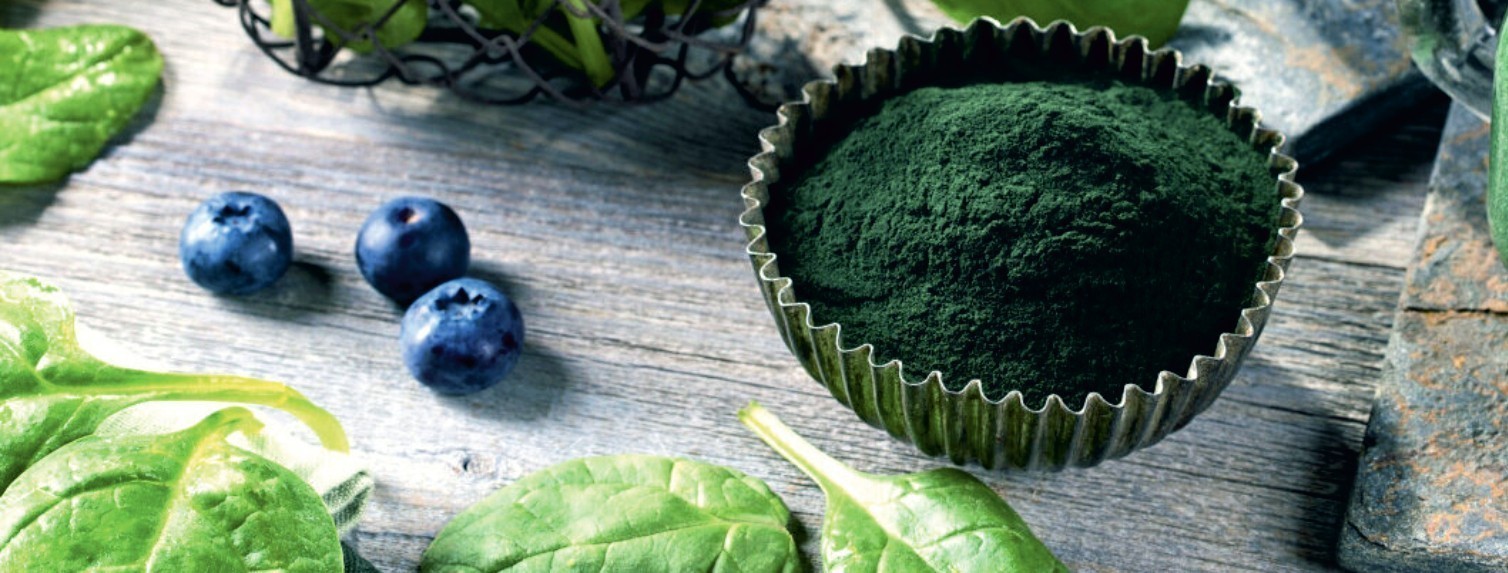 Hawaiian Spirulina Centralsun