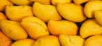 k[lmkuivatatud mango pulber centralsun