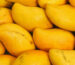 k[lmkuivatatud mango pulber centralsun