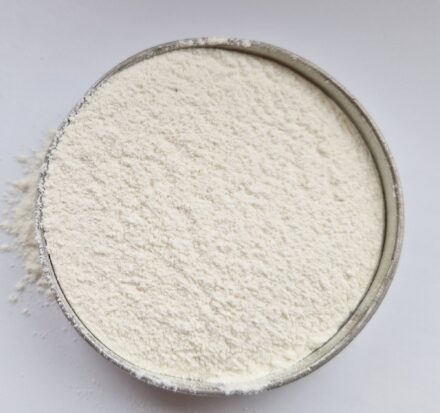 Gefriergetrocknetes Knoblauchpulver close up