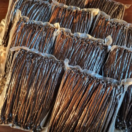 Organic Vanilla Beans 1 kg – Indonesia | Centralsun back