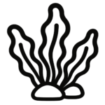Vetikad