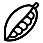 Cacao